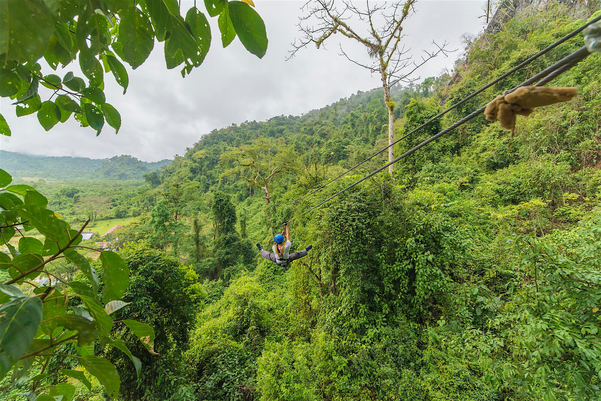 Person zip-lining through rainforest
