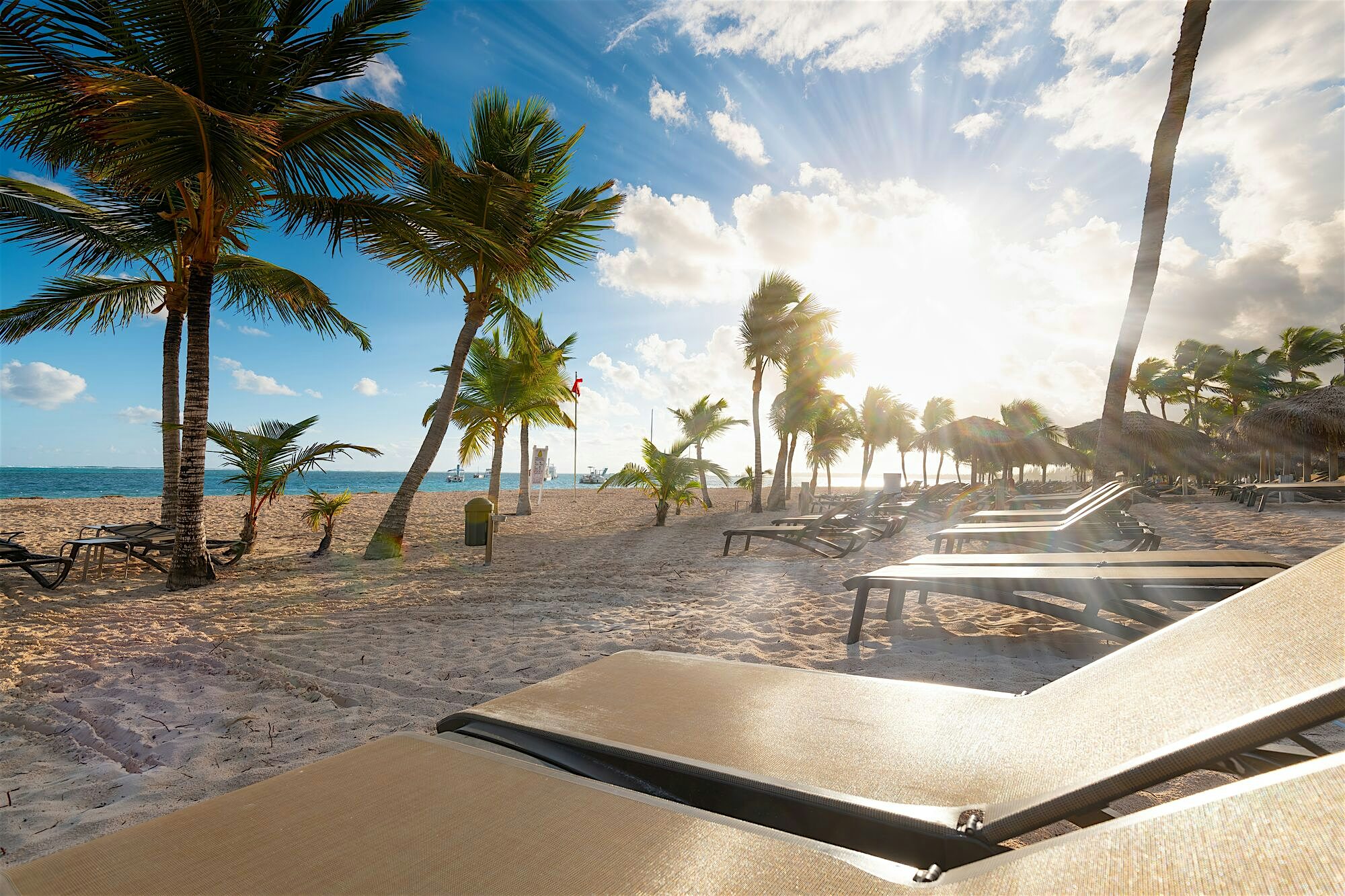 Sunny beach featuring palm trees, white sand, and sunlounges near the turquoise sea