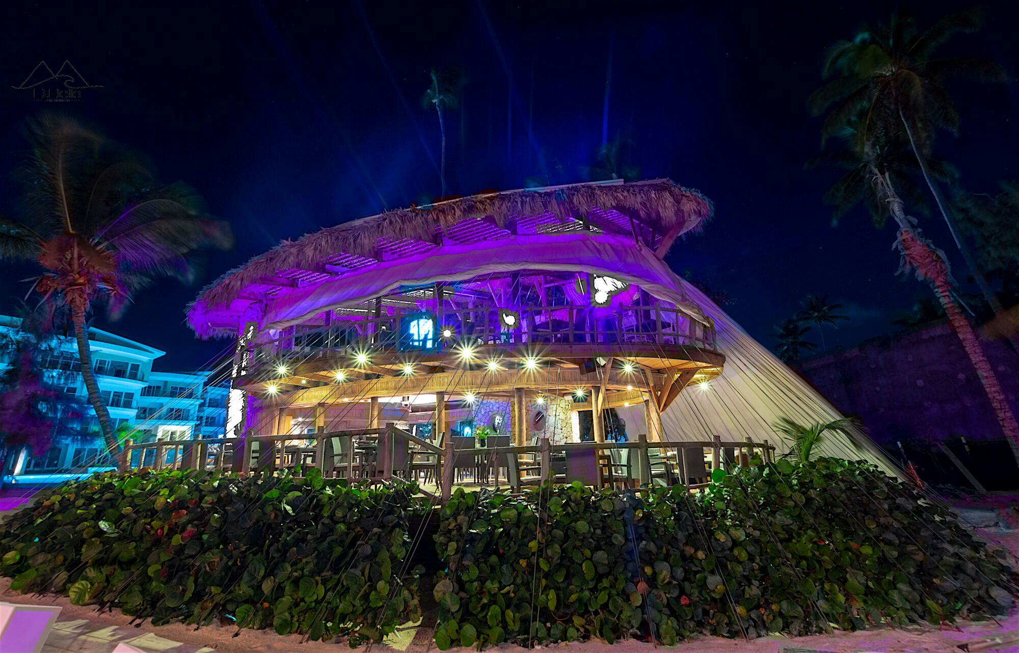 Lit up Jellyfish restaurant at night