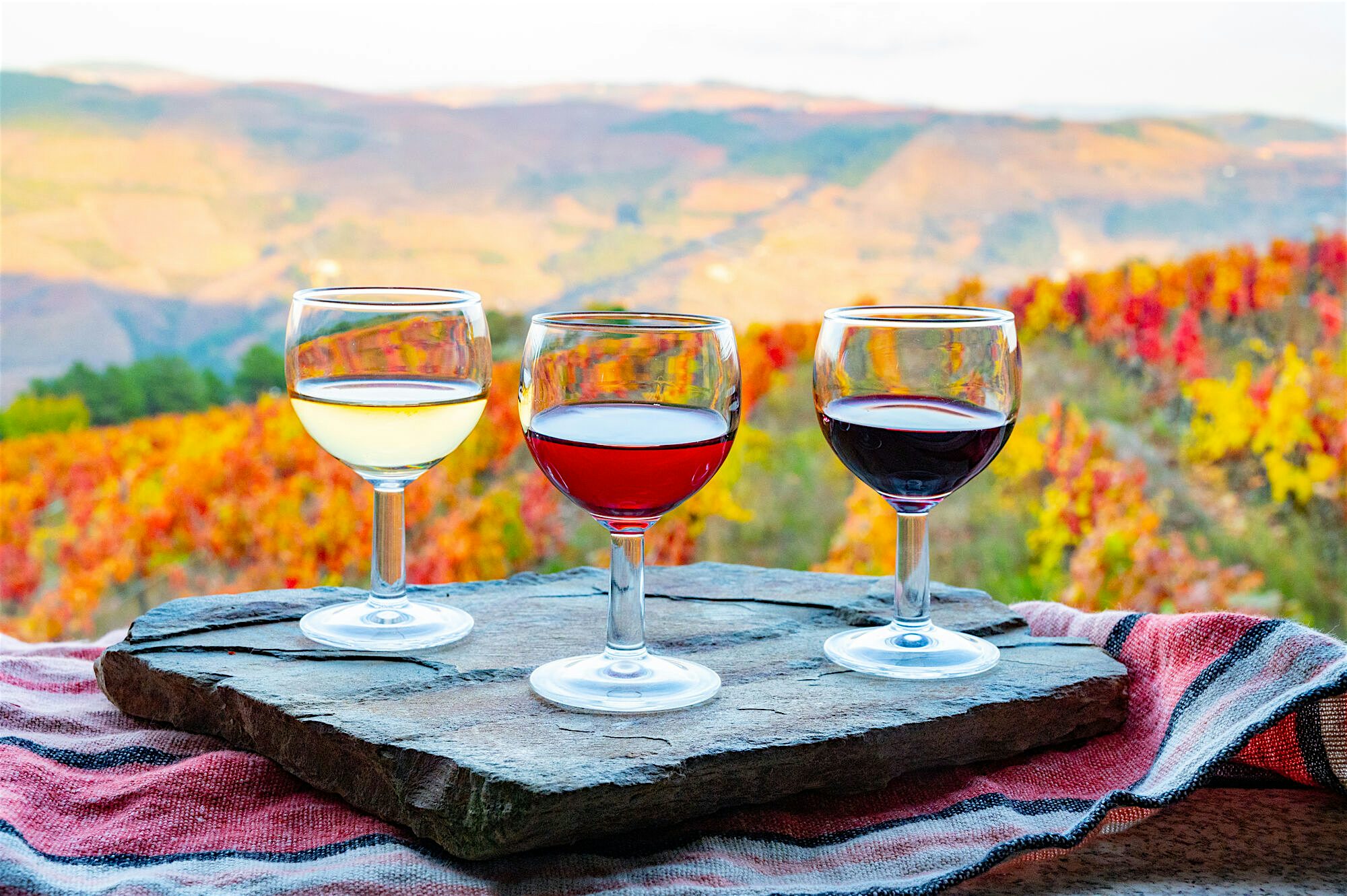3 wine glasses on a wood plank overlooking a scenic background