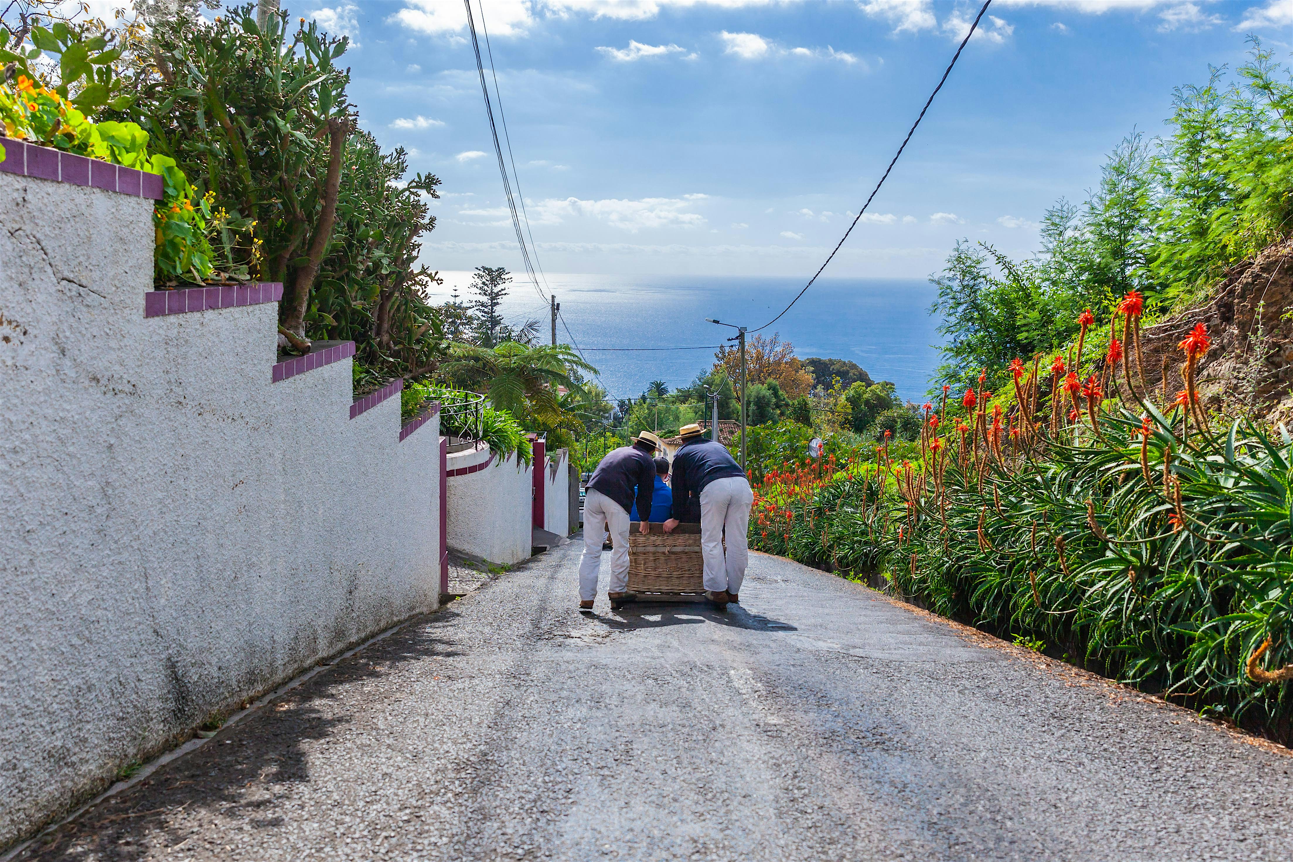 Basket sledge in Madeira with a view. Cable car with ocean view