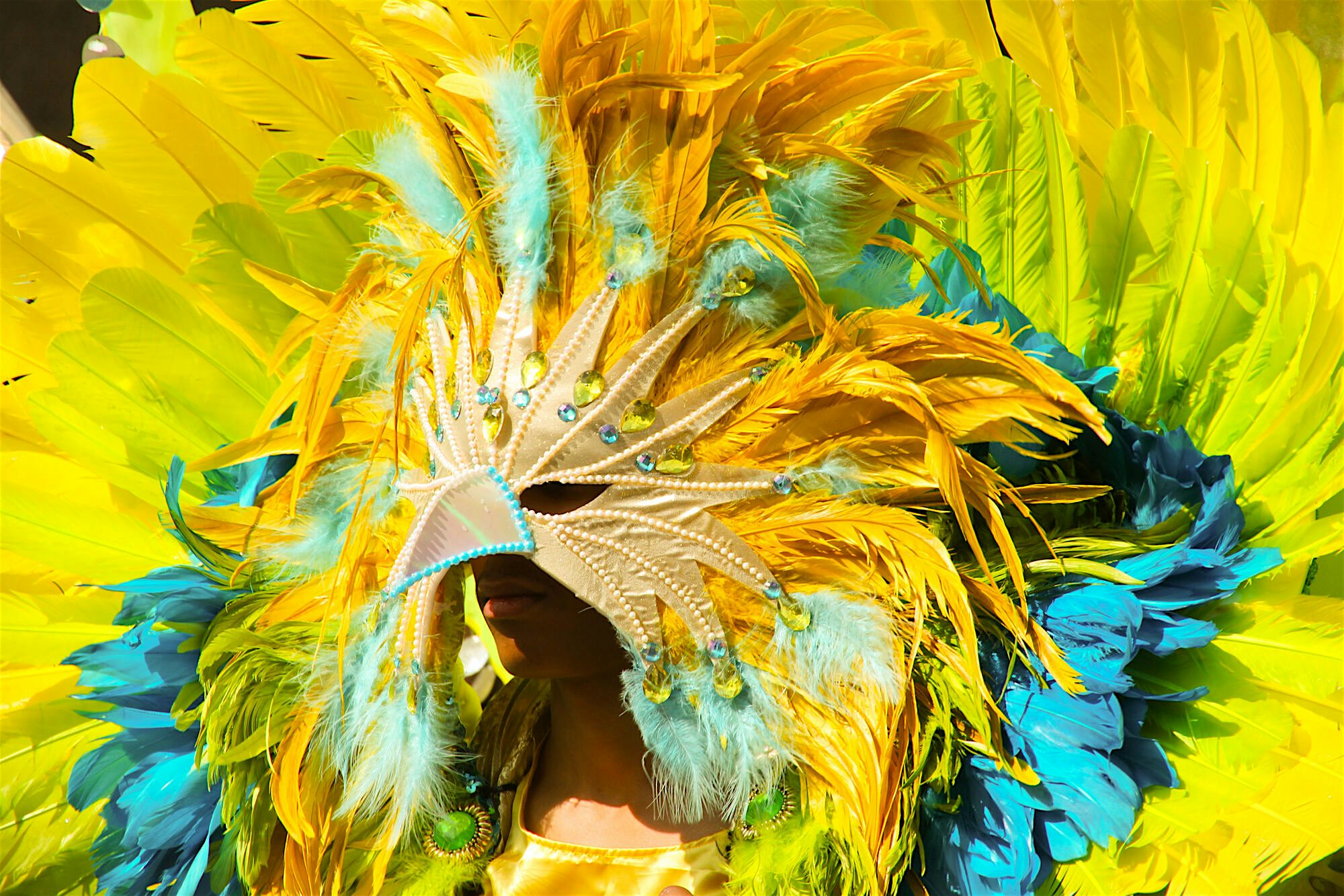 Carnival costume with yellow and blue feathers