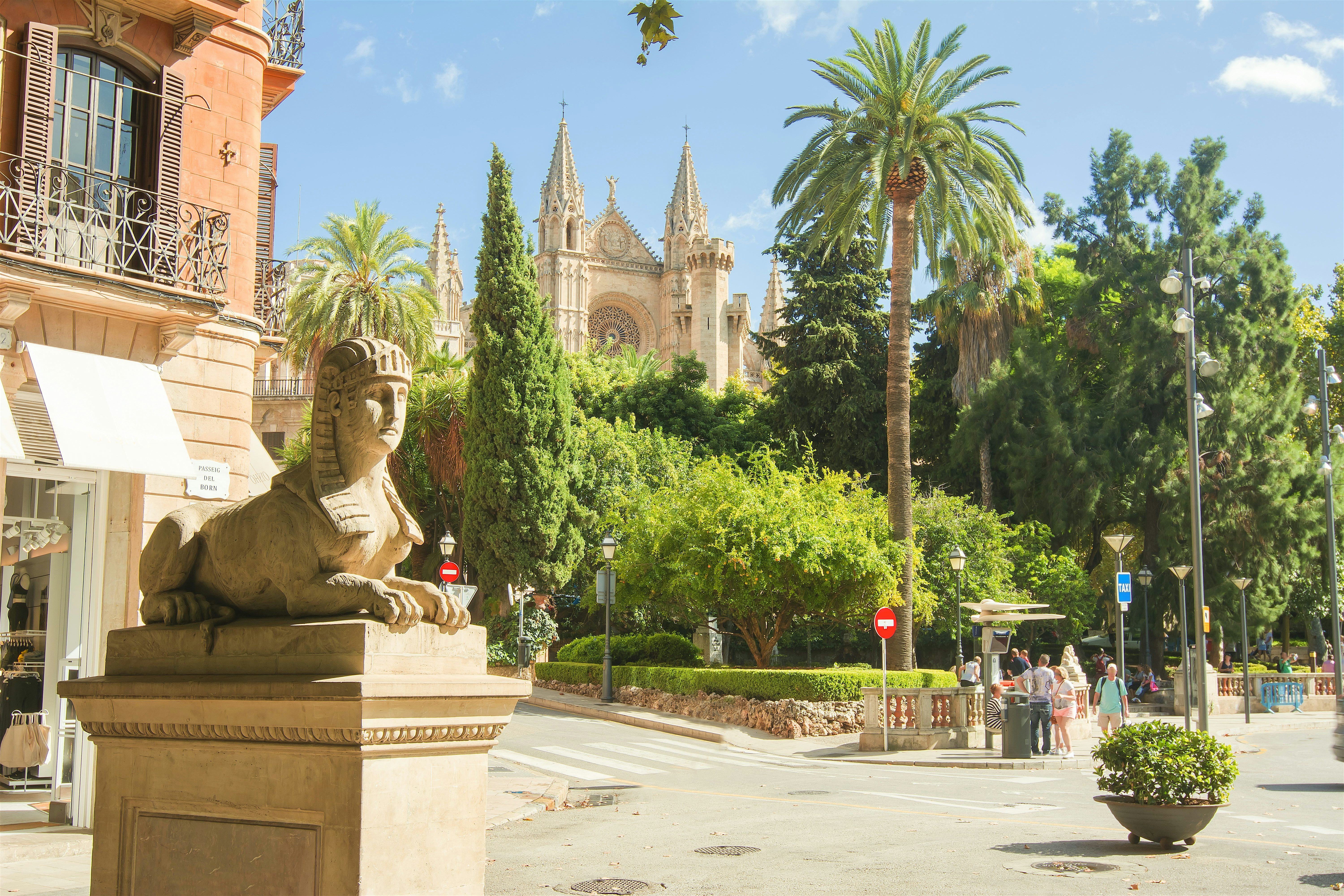 A stone sphinx statue on a city street lined with palm trees, with a grand cathedral rising above the greenery in the background.