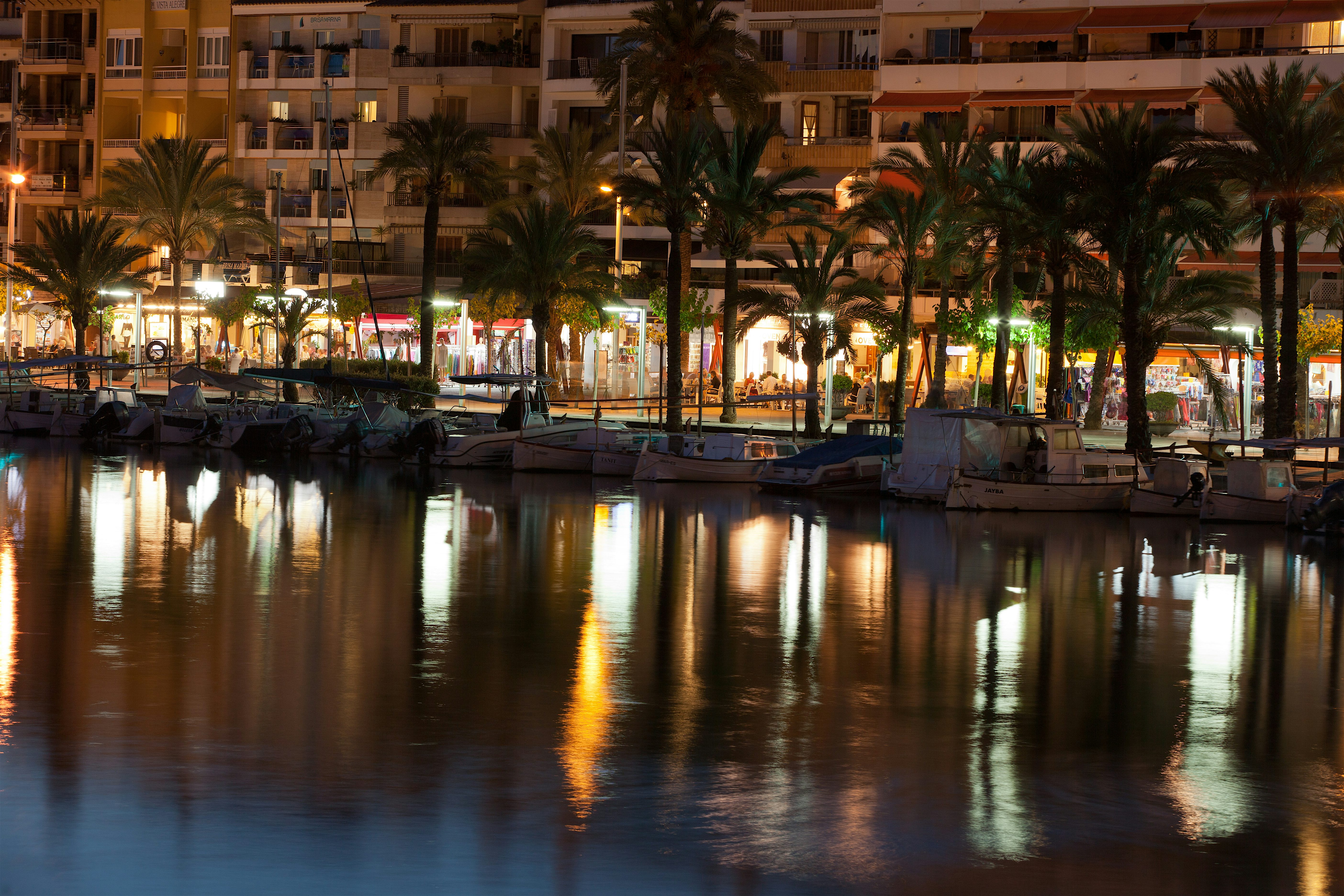 Marina at night with palm trees and waterfront buildings reflected across still water, warm lights glowing along the promenade.
