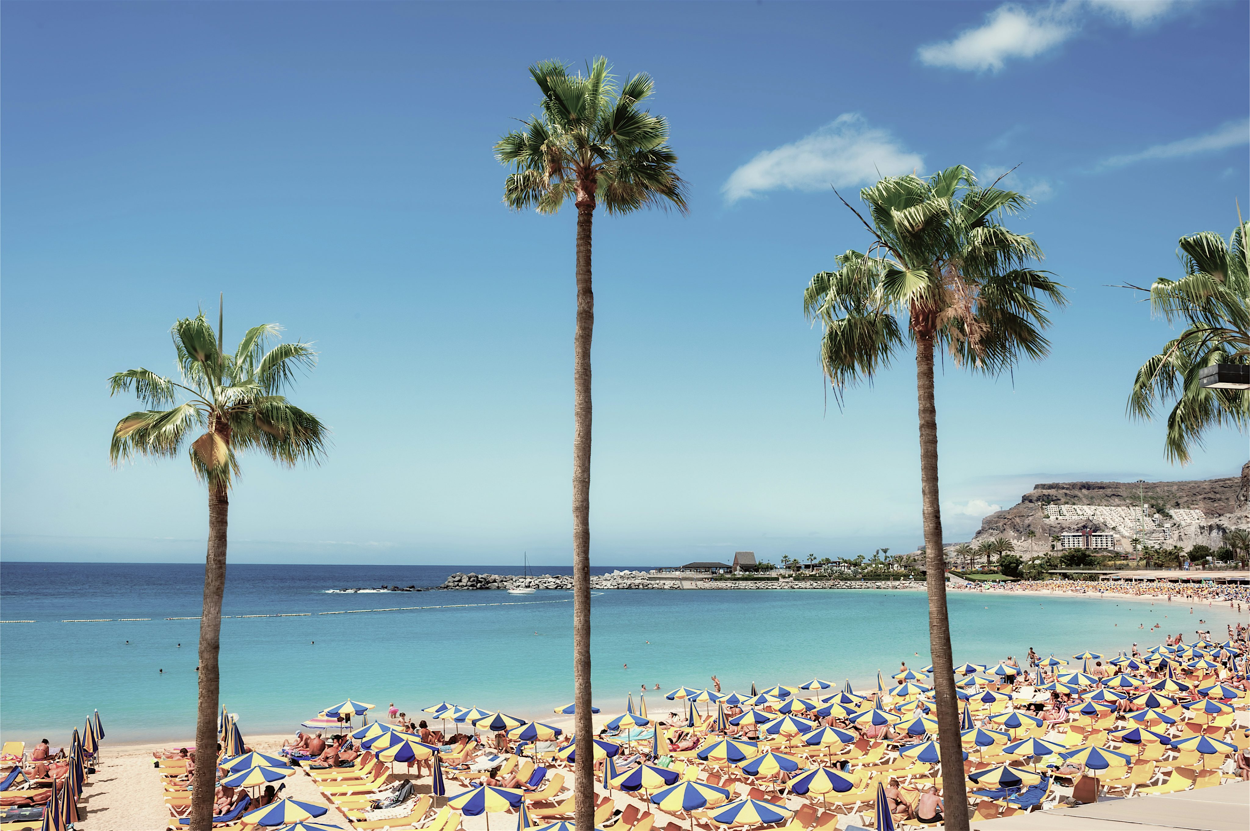 Tall palm trees, rows of sunbeds with yellow and blue umbrellas then turquoise water