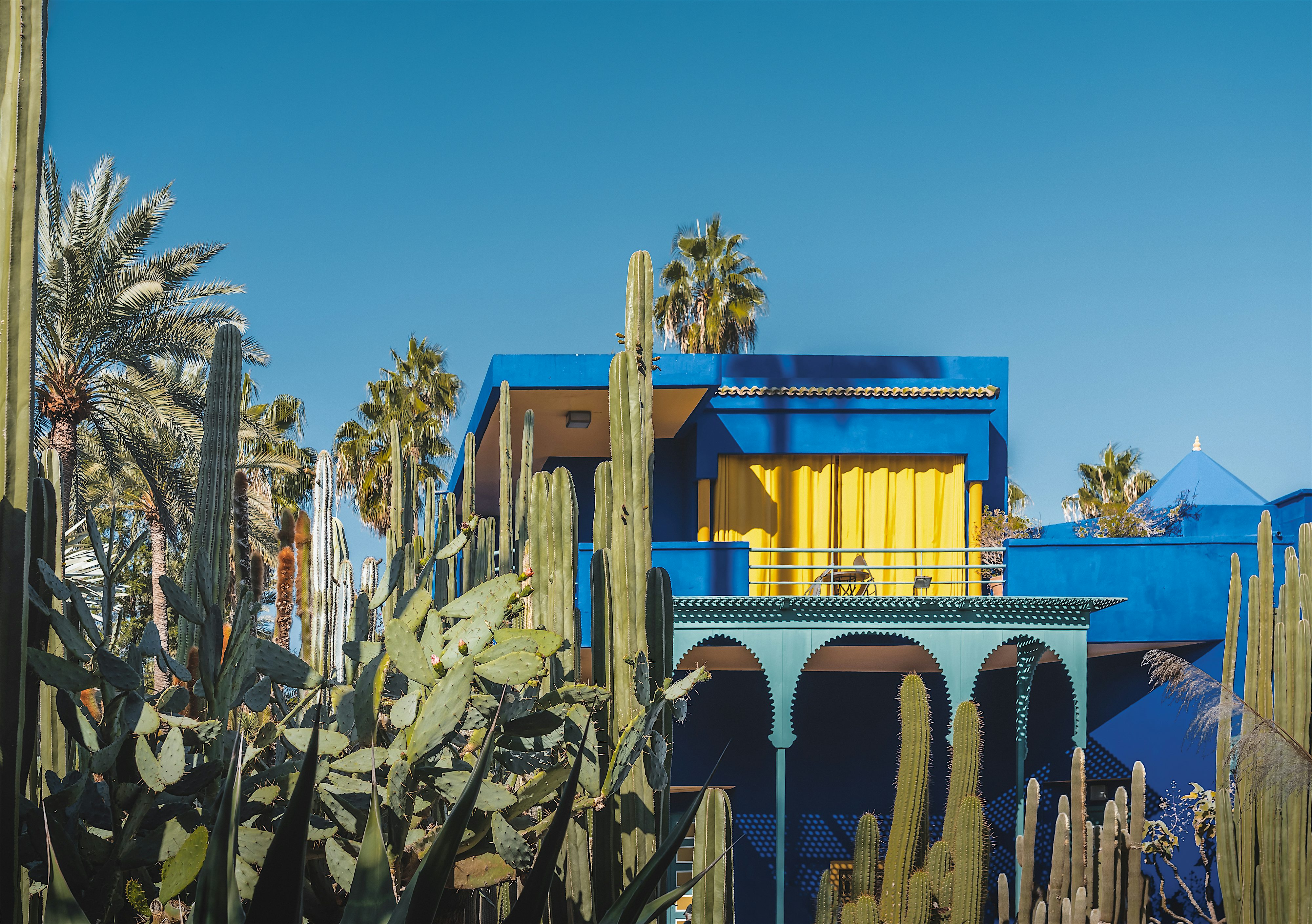 Bold structural blue and yellow building surrounded by large cactus's and palm trees