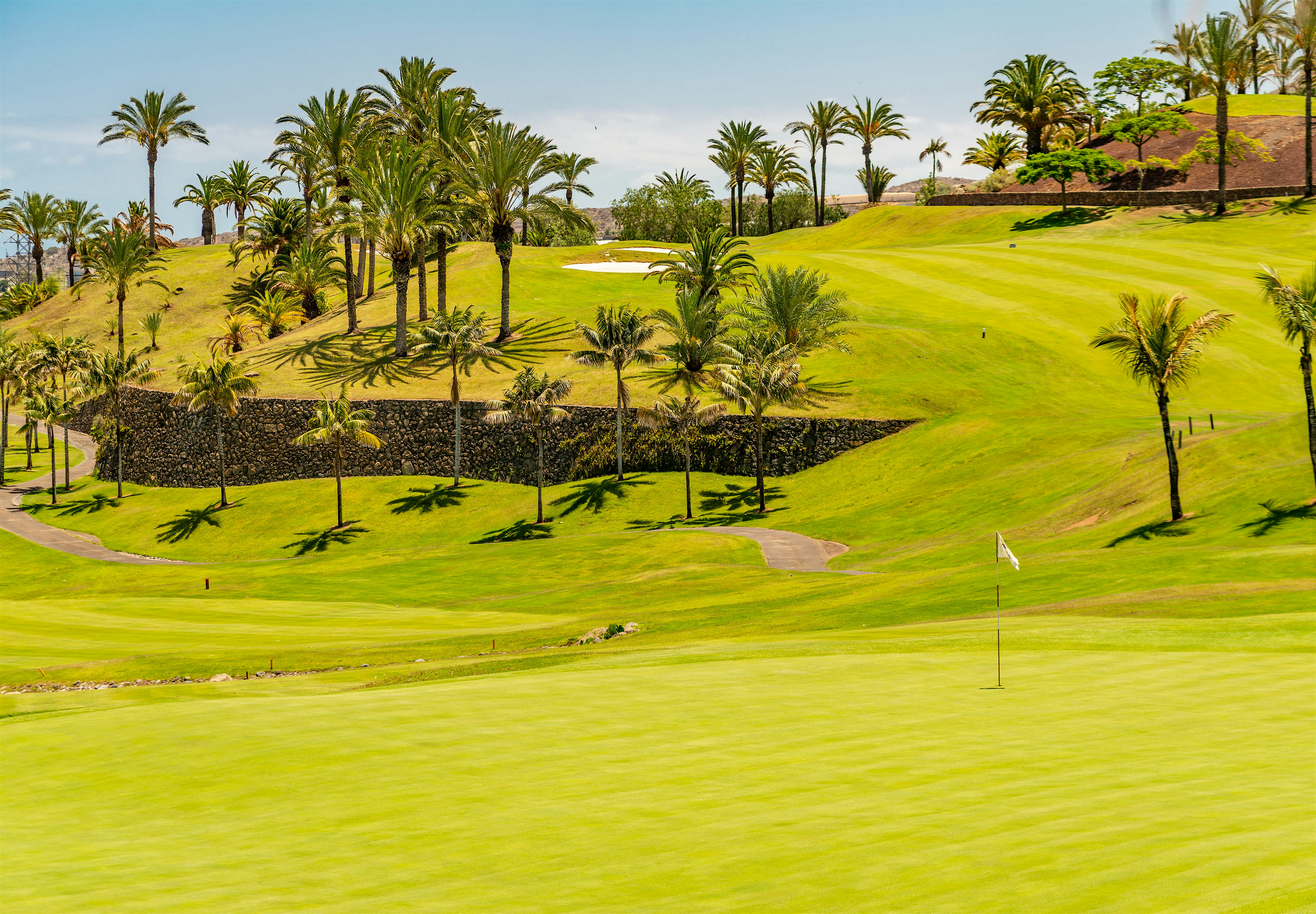 Golf Course with palm trees