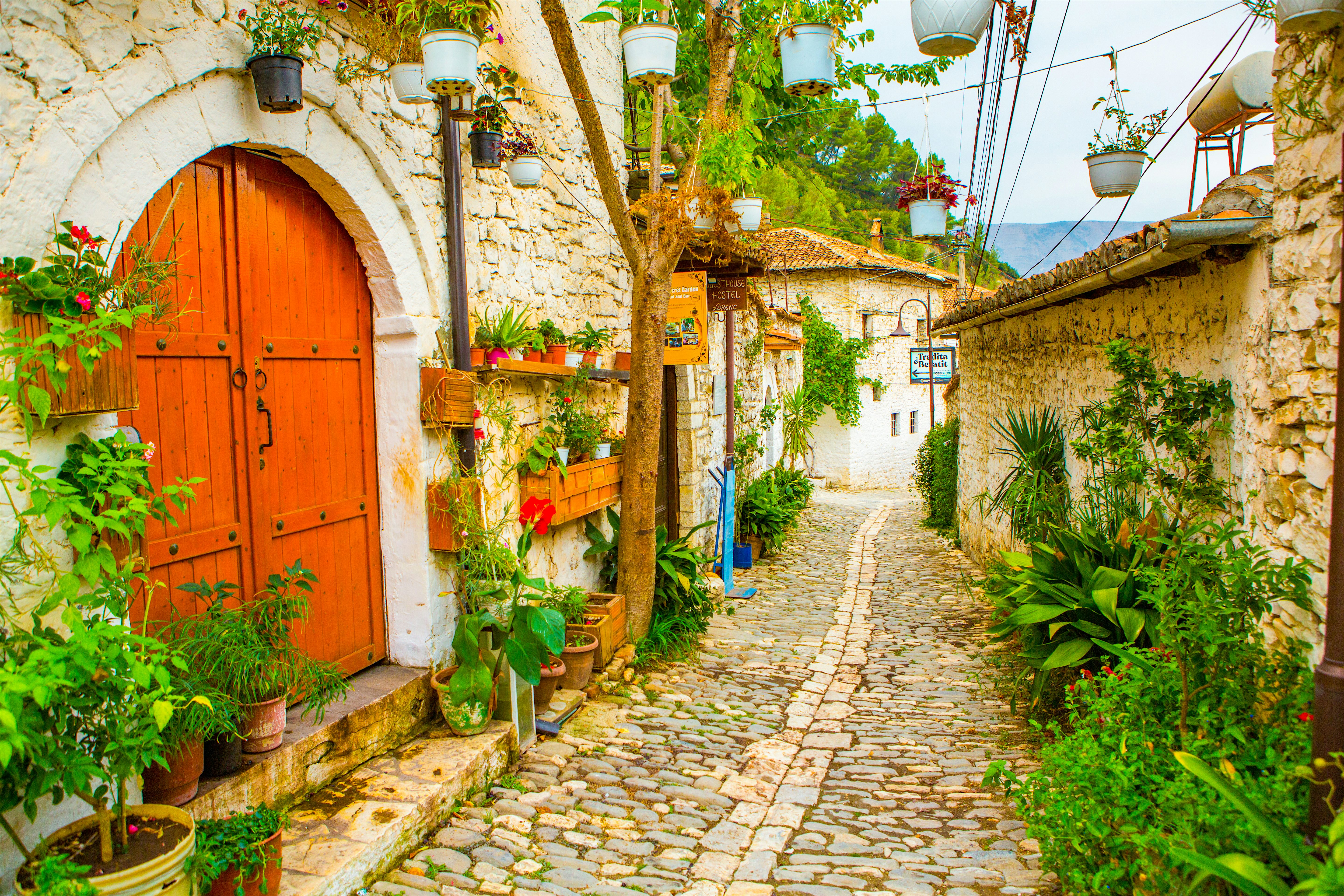 Narrow cobblestone street of stone houses lined with plants in the old town of Berat