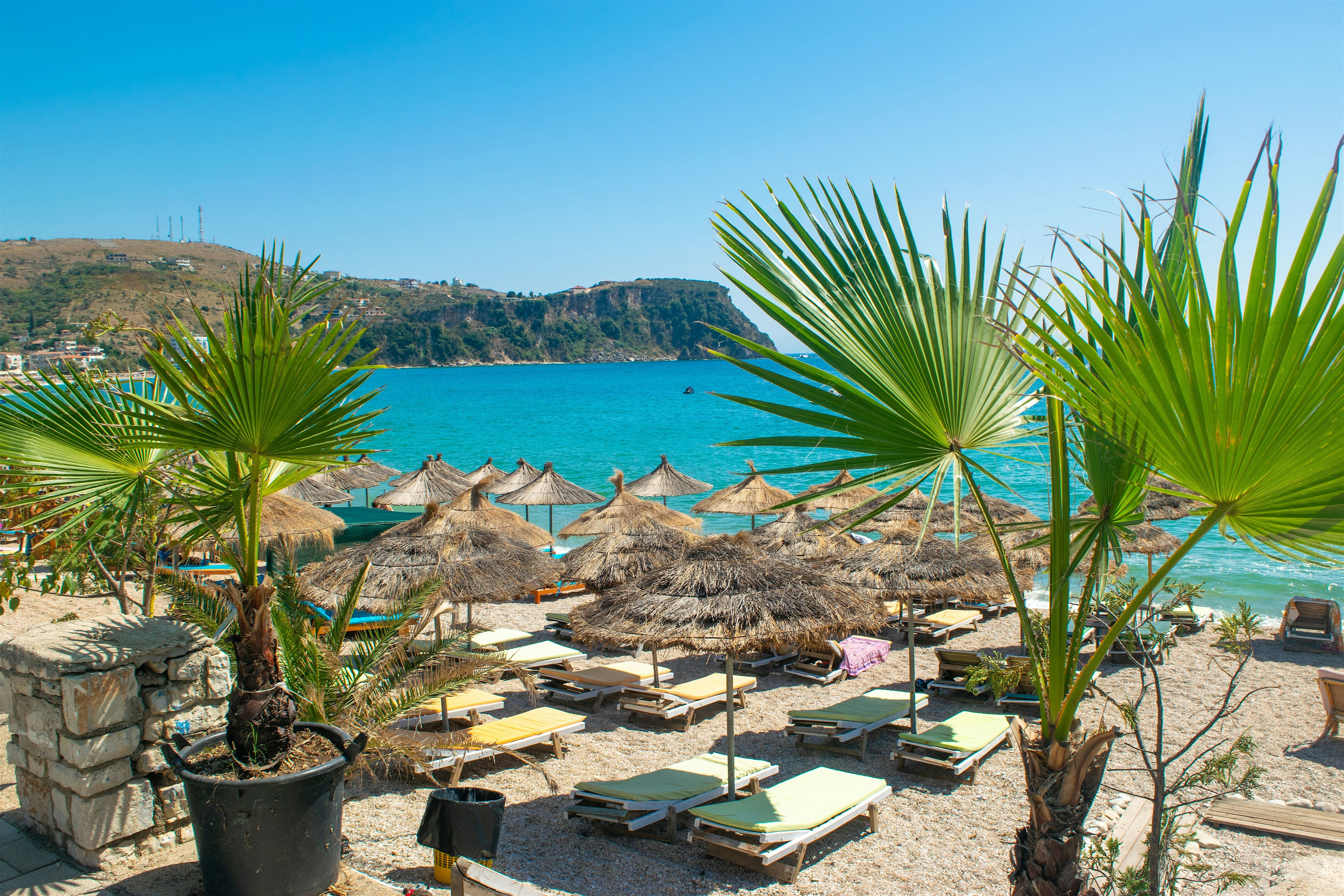 Himara beach 2 fan palm trees at the front with sun loungers and thatched umbrellas facing the crystal-clear turquoise water