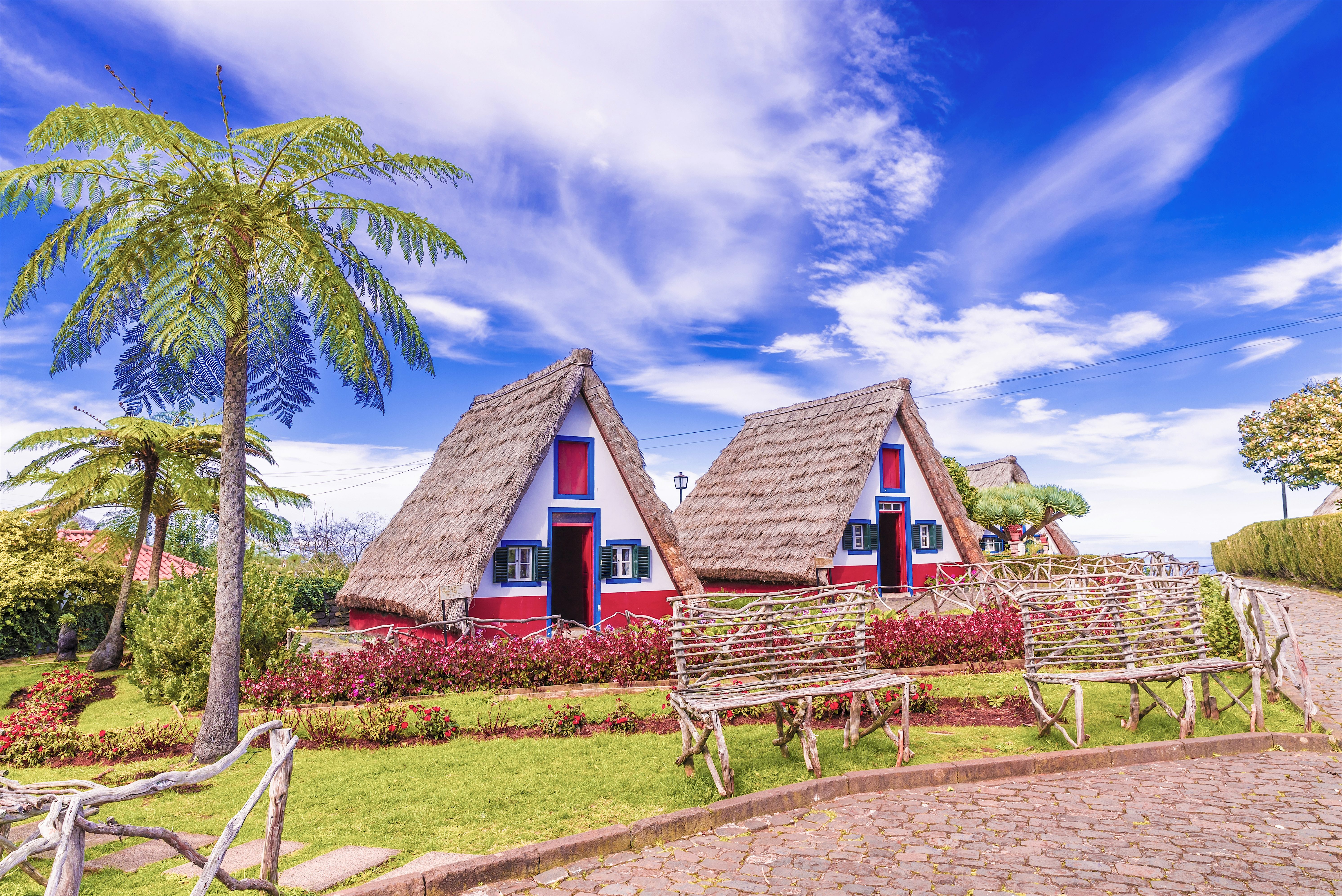 Traditional triangular, red, white, and blue thatched-roof houses in the village of Santana in front are two rustic benches with trees and shrubs surrounding