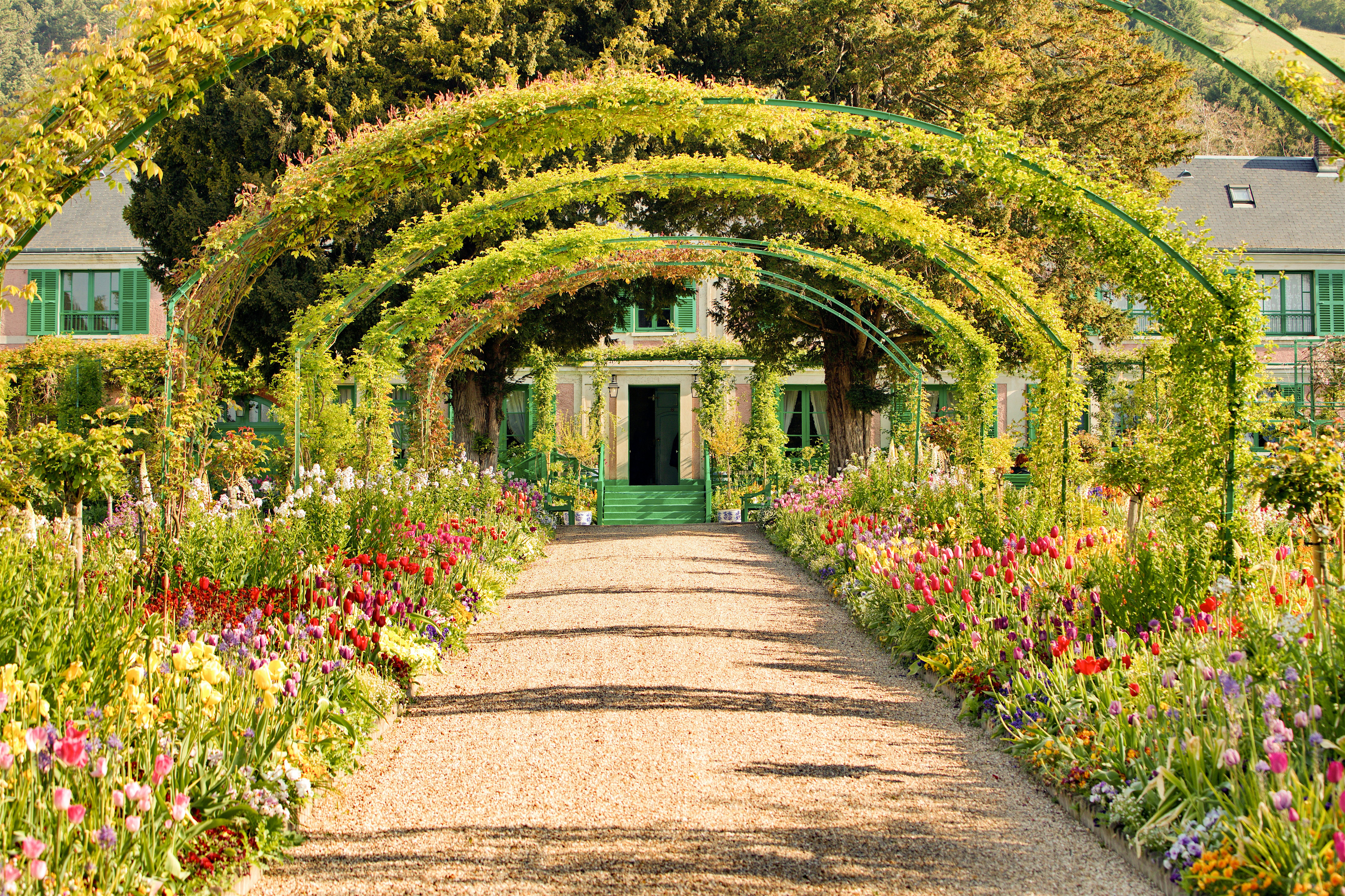 A garden walkway framed by green arching trellises, leading towards a house surrounded by colourful flowers in full bloom.