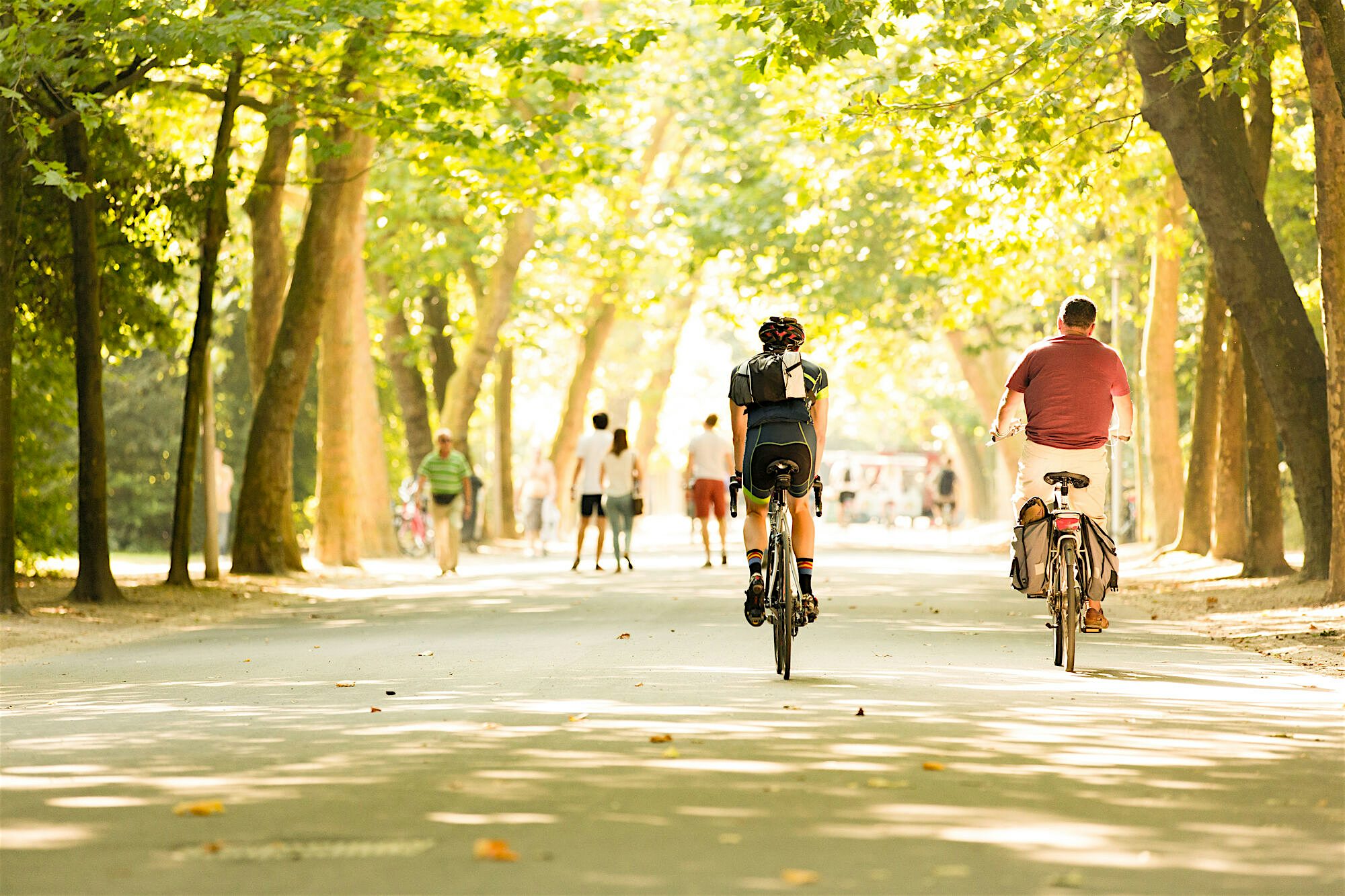People cycling on a large open path in a park