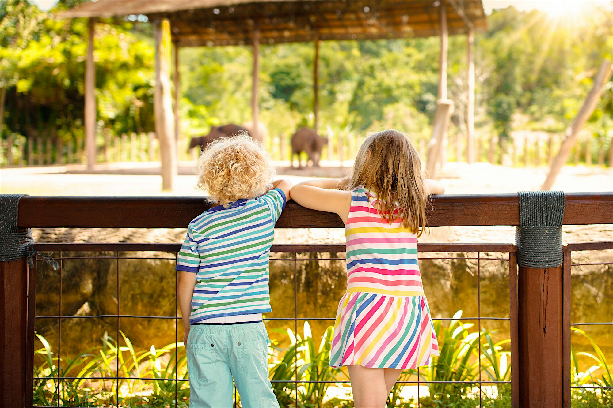 Two young children standing at a wooden fence, watching animals in an outdoor enclosure surrounded by greenery and warm sunlight.