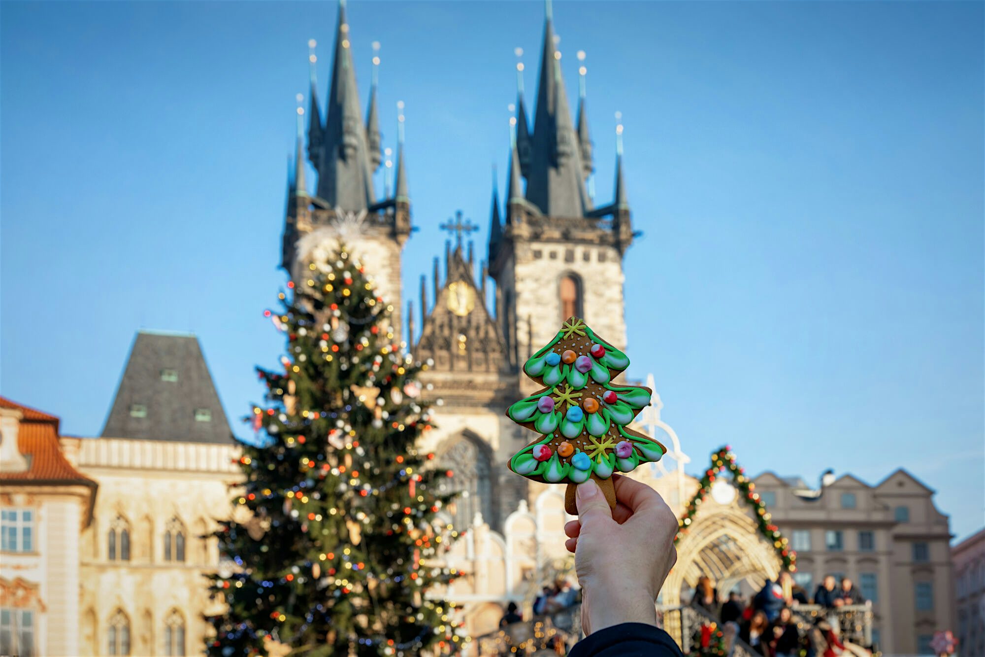 Decorated Christmas market scene with a hand holding a tree-shaped gingerbread in front of a lit tree and twin church towers.
