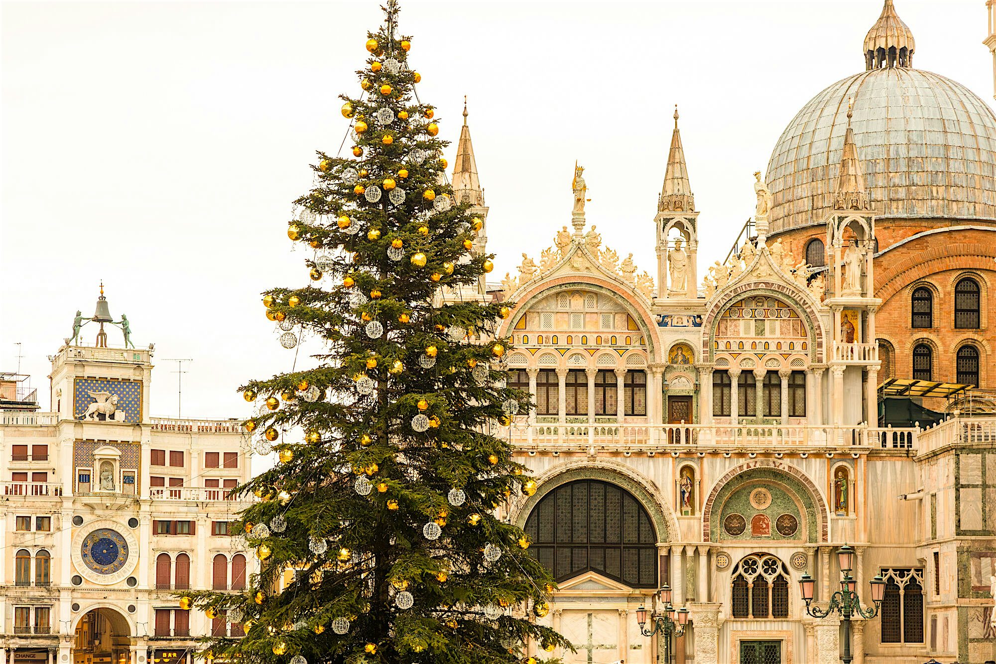 "A large decorated Christmas tree standing in a historic square, with ornate domed and arched buildings in the background.  "