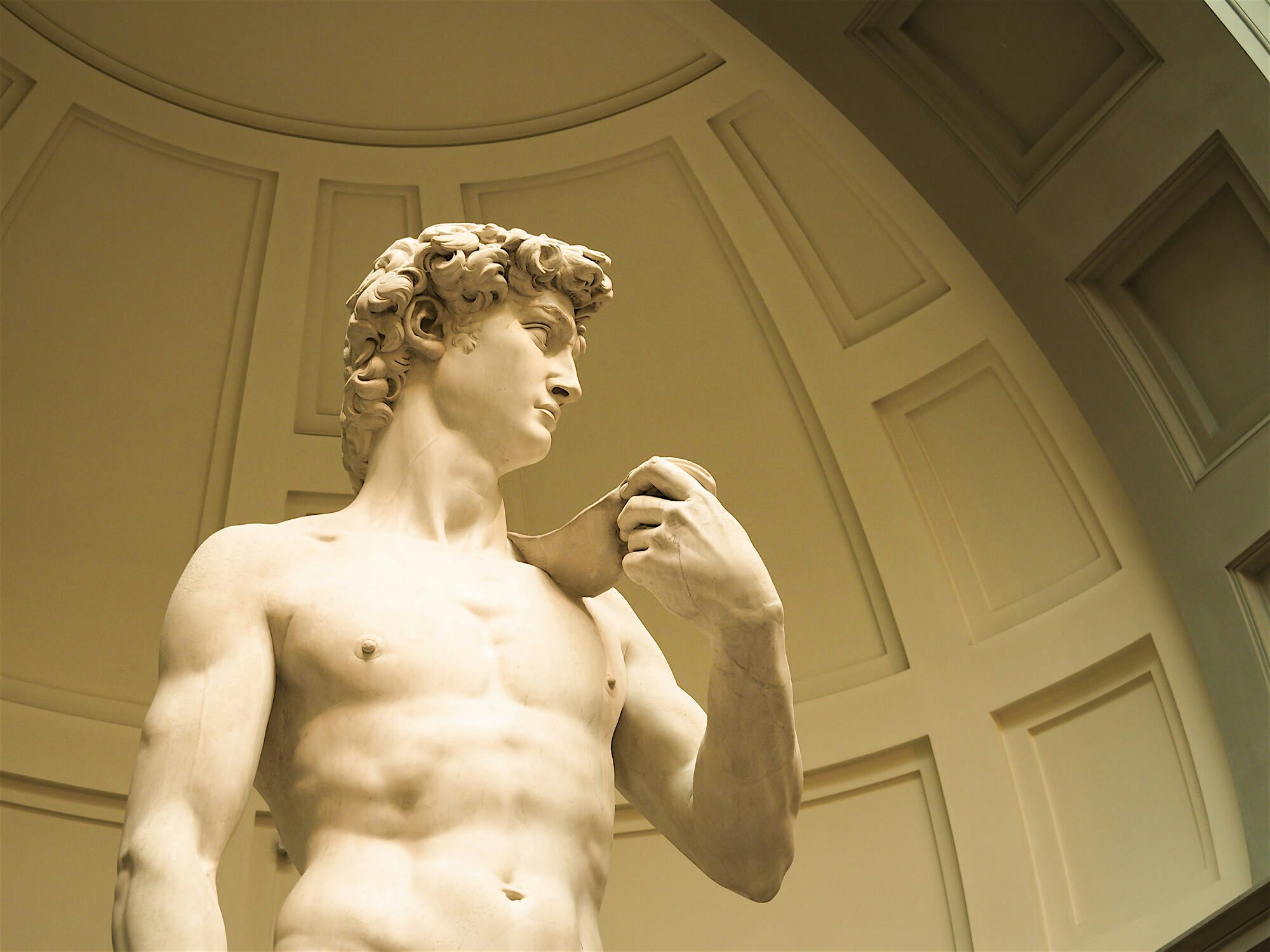View of the top of the statue of David focussing on the head of the sculpture and looking upto the domed ceiling