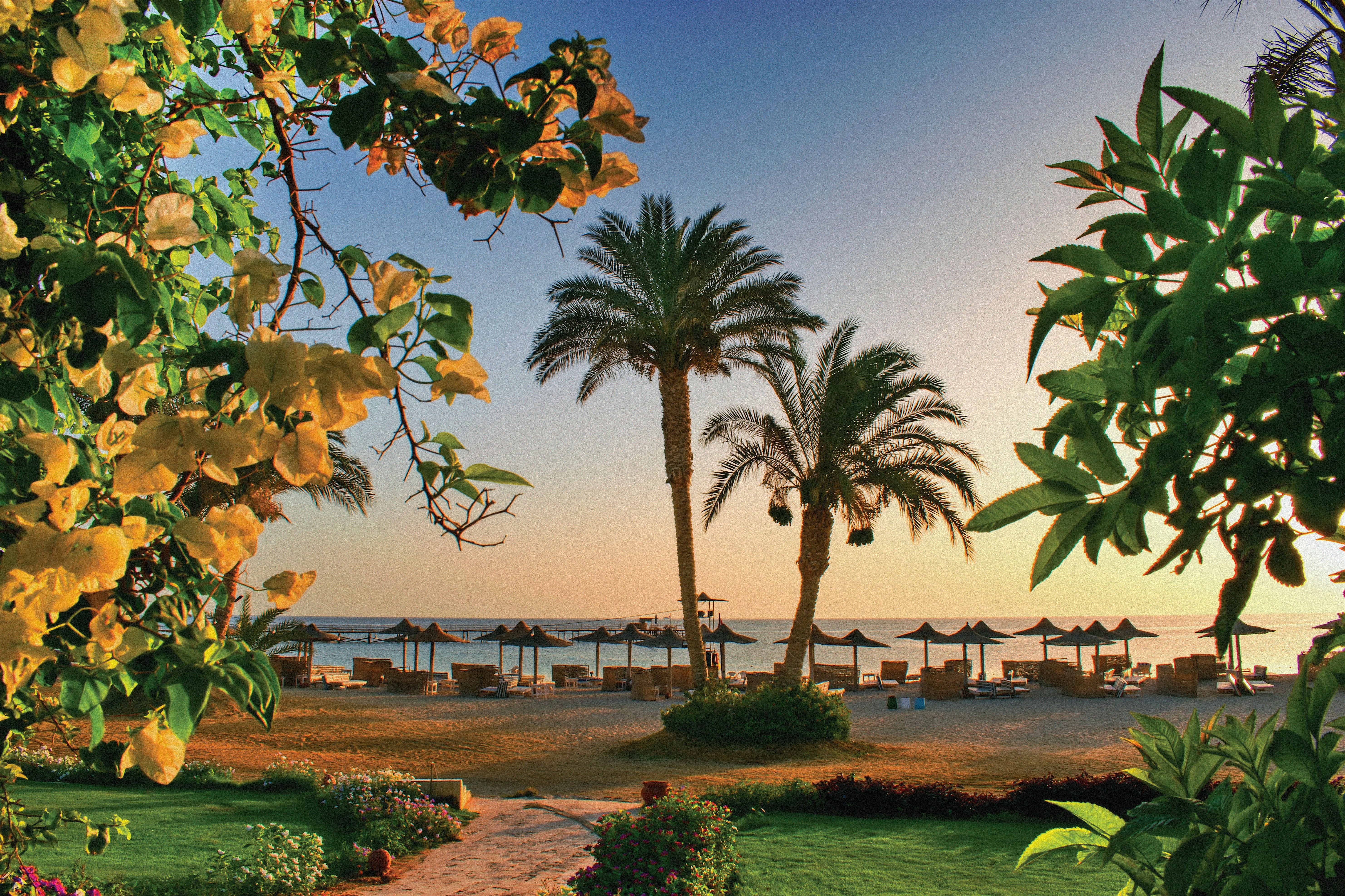 Sandy beach at sunset with straw parasols and sun loungers, framed by yellow flowers.