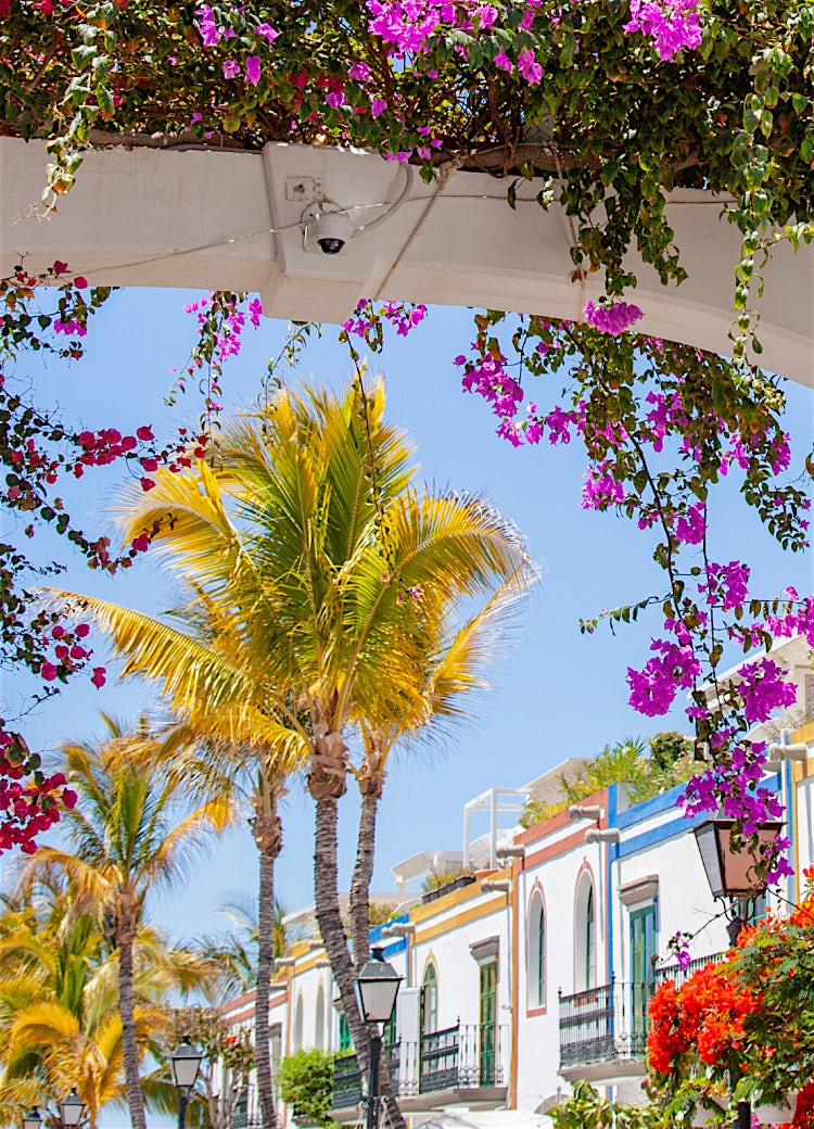 Spanish coastal town with colourful architecture, palm-lined streets, bougainvillea flowers and sunny Mediterranean atmosphere.
