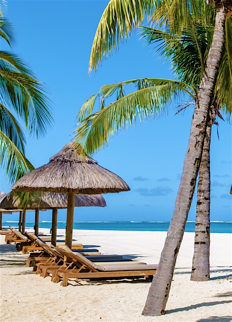 Dominican Republic luxury beach resort with palm trees, sun loungers, white sand and turquoise Caribbean Sea.