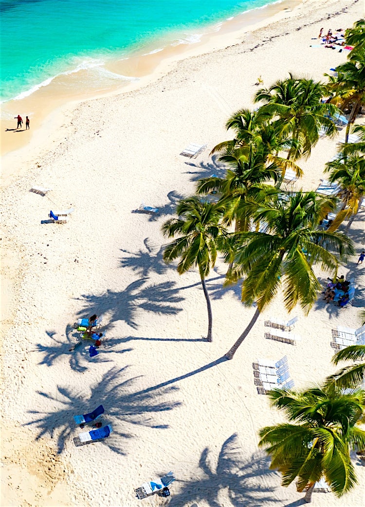 Dominican Republic tropical beach with white sand, turquoise Caribbean Sea, palm trees and crystal-clear shoreline aerial view.