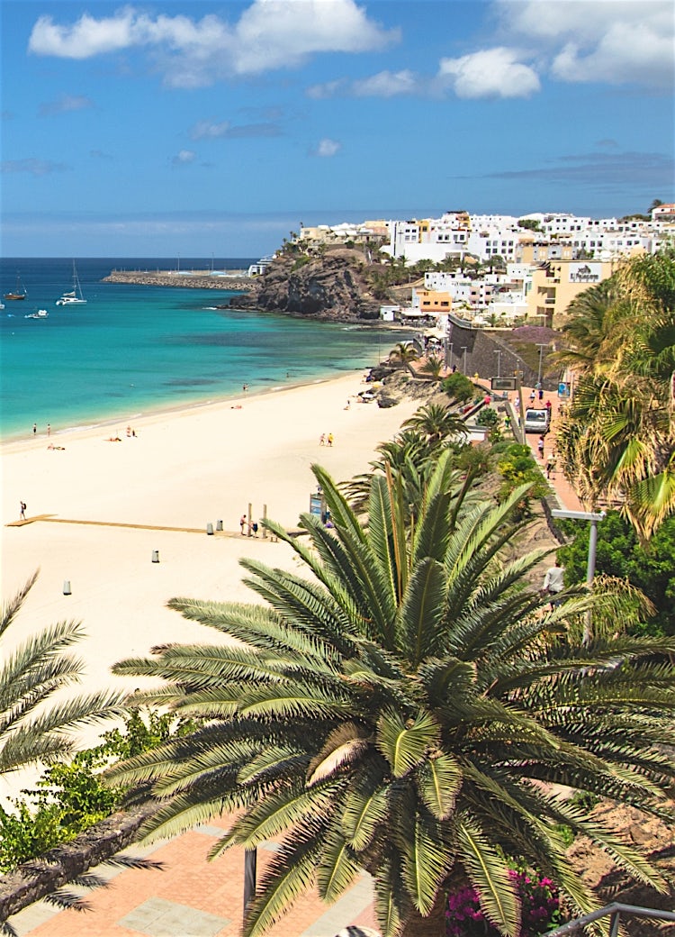 Fuerteventura beach with white sands, turquoise Atlantic waters, palm trees and boats along the coastline.