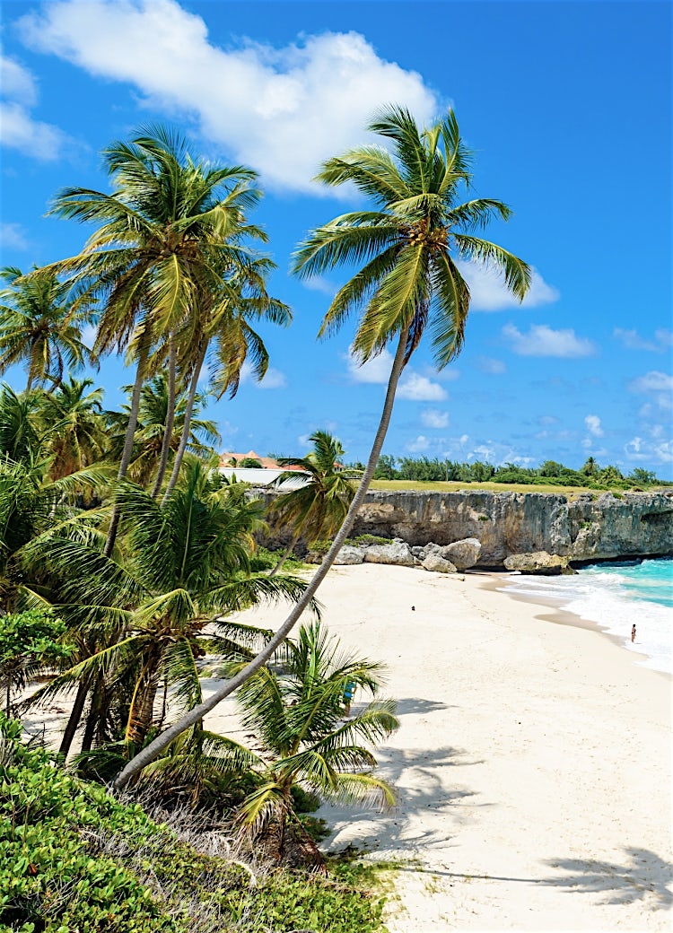 Caribbean beach with white sand, palm trees, turquoise sea and tropical mountain backdrop