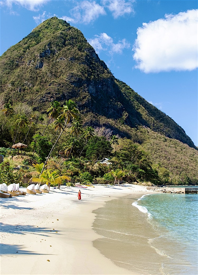 Caribbean tropical beach with palm trees, turquoise ocean and white sand coastline