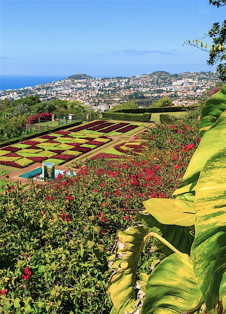 Madeira Botanical Garden overlooking Funchal, with vibrant floral displays, lush tropical greenery, Atlantic Ocean views, and scenic coastal panorama.