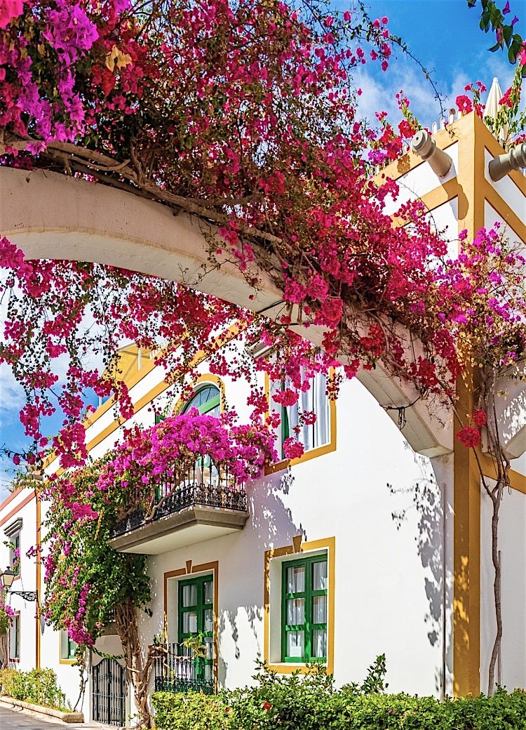 Colorful bougainvillea-covered arches and whitewashed houses lining a charming Gran Canaria street under a bright blue sky.