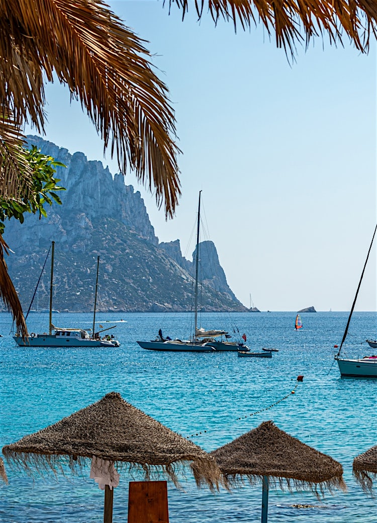 Ibiza coastline with turquoise Mediterranean waters, sailboats at anchor, rocky cliffs, palm fronds, and a sunny beachscape.