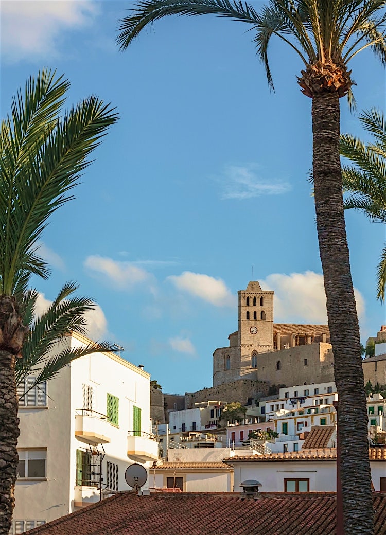 Ibiza Old Town (Dalt Vila), Spain, with palm-lined streets, whitewashed buildings, and the historic hilltop cathedral overlooking the city.