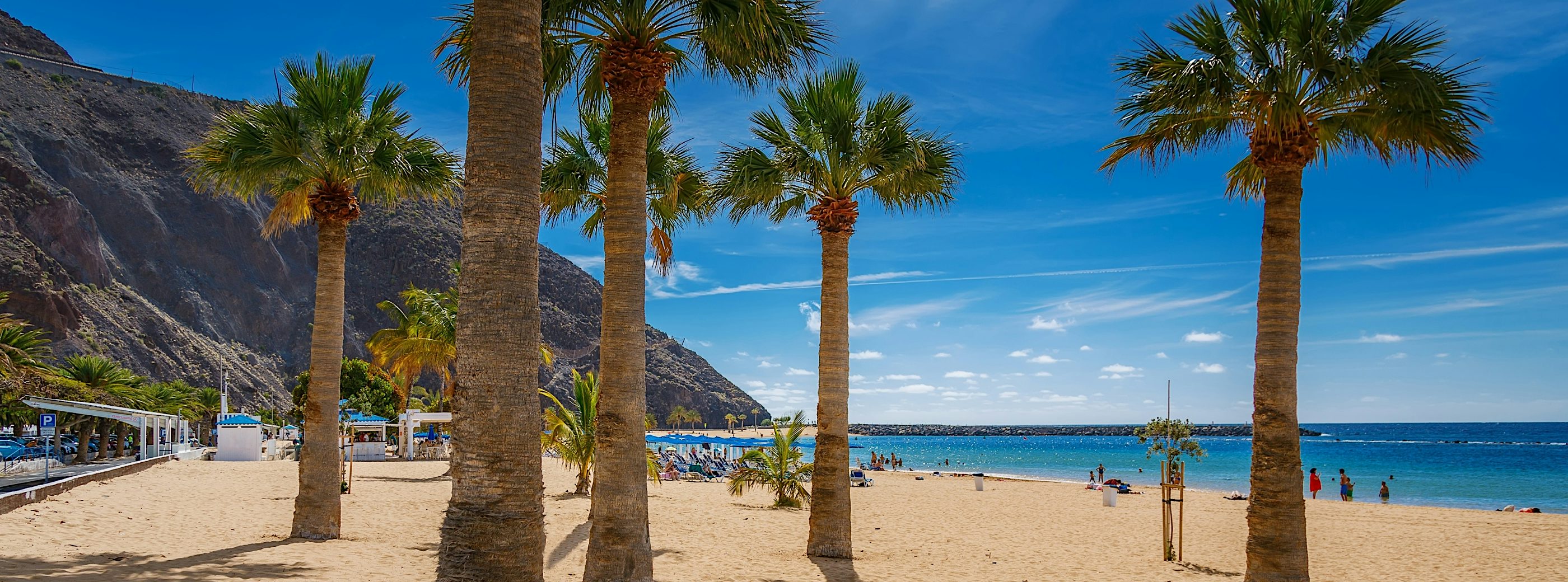Palm-lined beach in Tenerife with golden sand, turquoise sea, volcanic mountains and year-round sunshine.