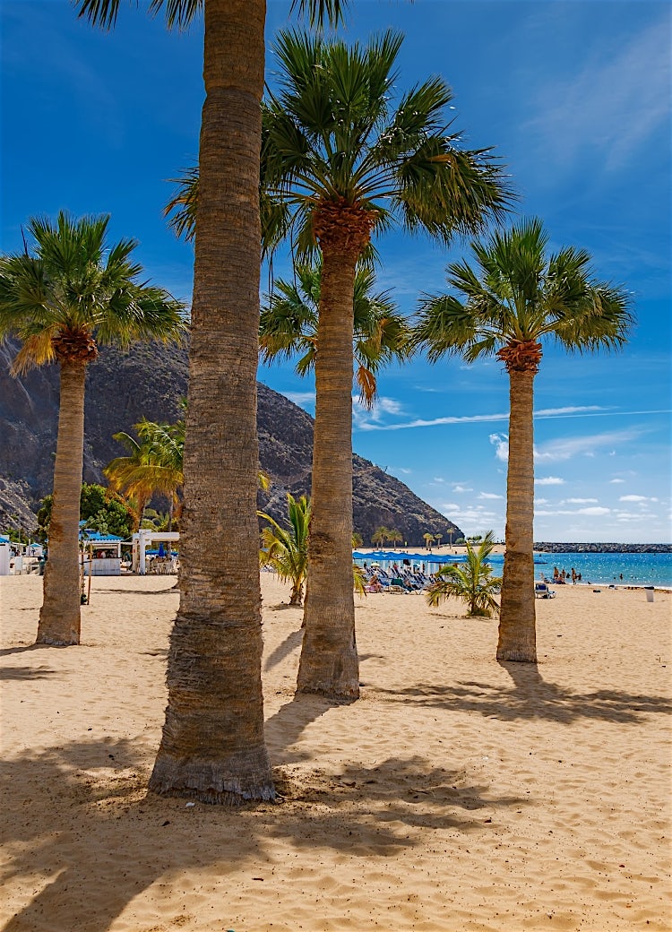 Palm-lined beach in Tenerife with golden sand, turquoise sea, volcanic mountains and year-round sunshine.