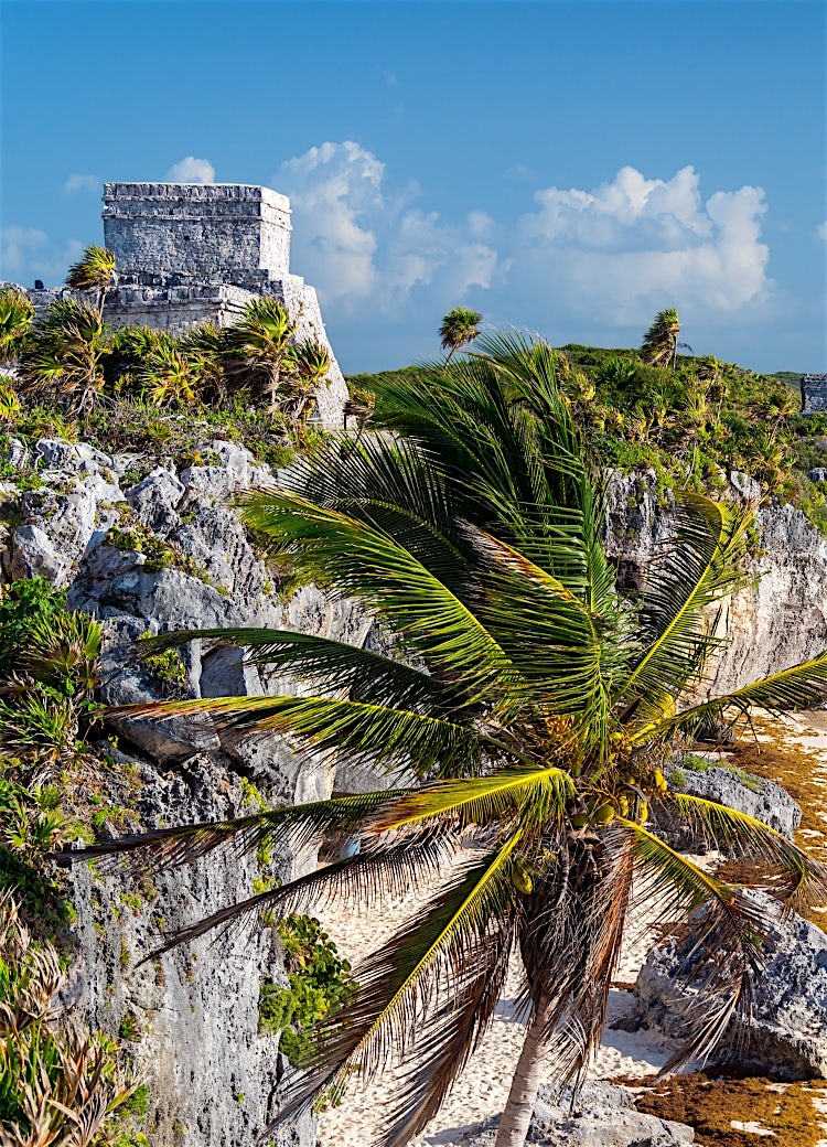 Ancient Mayan ruins overlooking turquoise Caribbean waters, rocky coastline, palm trees, and tropical beach scenery in Mexico’s Riviera Maya.