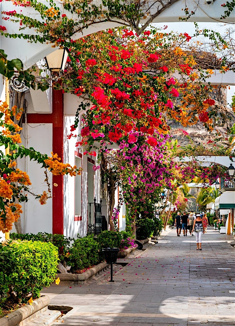 Canary Islands street with colourful bougainvillea, traditional whitewashed buildings, palm trees, and charming pedestrian walkway.