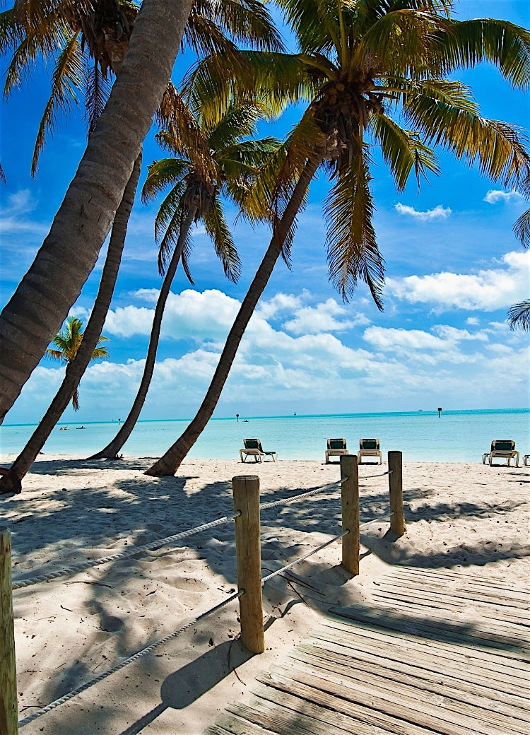 Florida Keys beach with swaying palm trees, white sand, turquoise ocean, and sun loungers overlooking tropical coastal waters.