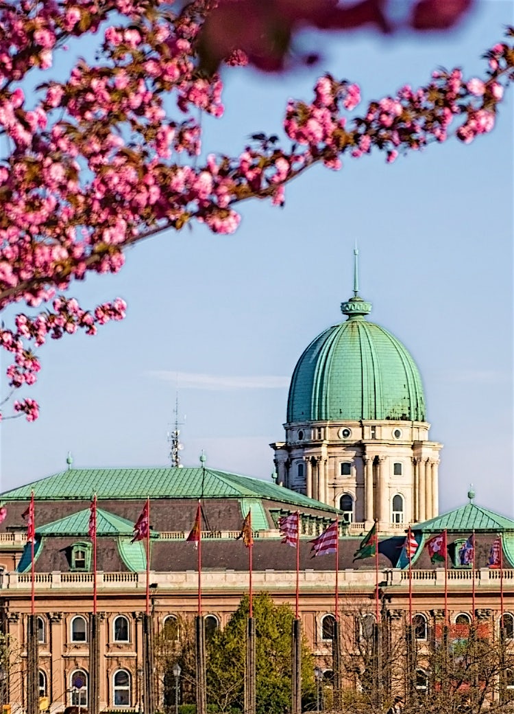 Esztergom Basilica, Hungary, with iconic green dome, historic architecture, and spring cherry blossoms.