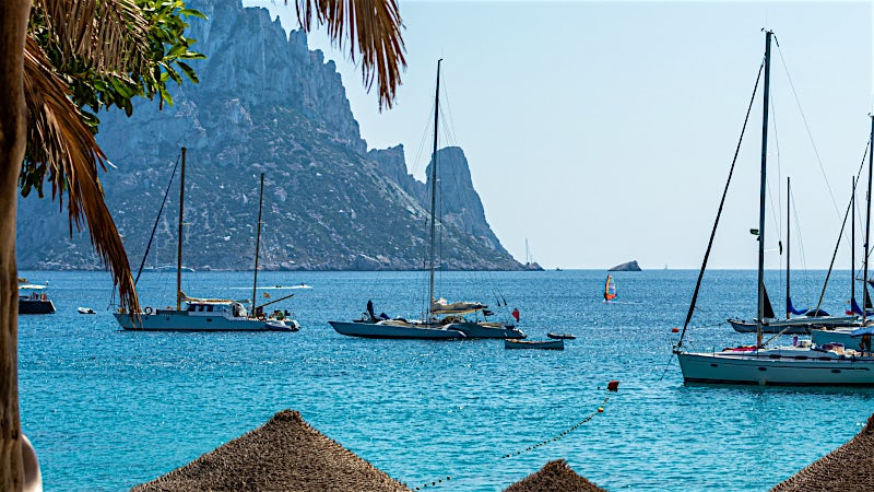 Ibiza coastline with luxury sailboats anchored in turquoise Mediterranean waters, rocky island backdrop and palm-fringed beach views.