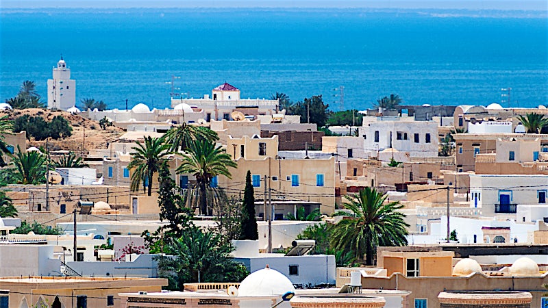 Traditional fishing boats in Hammamet harbour with palm-lined waterfront, Tunisia.