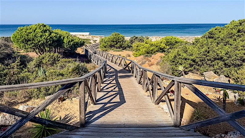 Wooden boardwalk leading through coastal dunes to a sandy beach and blue ocean shoreline.