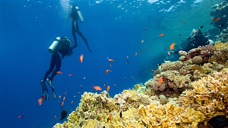 Scuba divers exploring a vibrant coral reef with tropical fish in Tunisia’s Mediterranean waters.