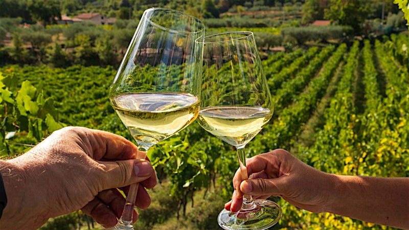 White wine tasting in a vineyard with rolling countryside and grapevines, Tuscany, Italy.