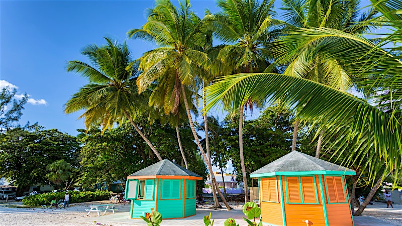 Colourful beach huts and palm trees on a tropical Barbados coastline.