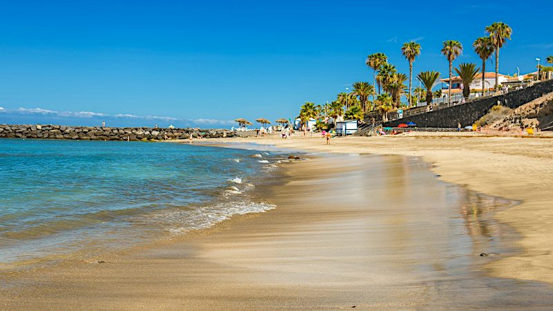 Soft sandy beach with swaying palms and gentle waves offers a relaxing seaside setting for Tenerife Value holidays.