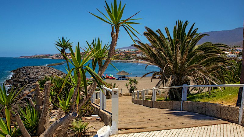 Palm-lined walkway descends towards Costa Adeje beach and sparkling sea, inviting travellers to enjoy Tenerife Value holidays.